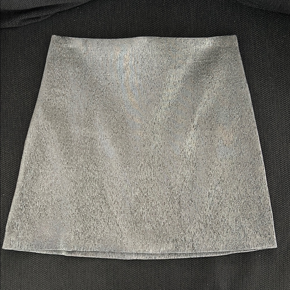 H&M Elegant Silver Women's Skirt